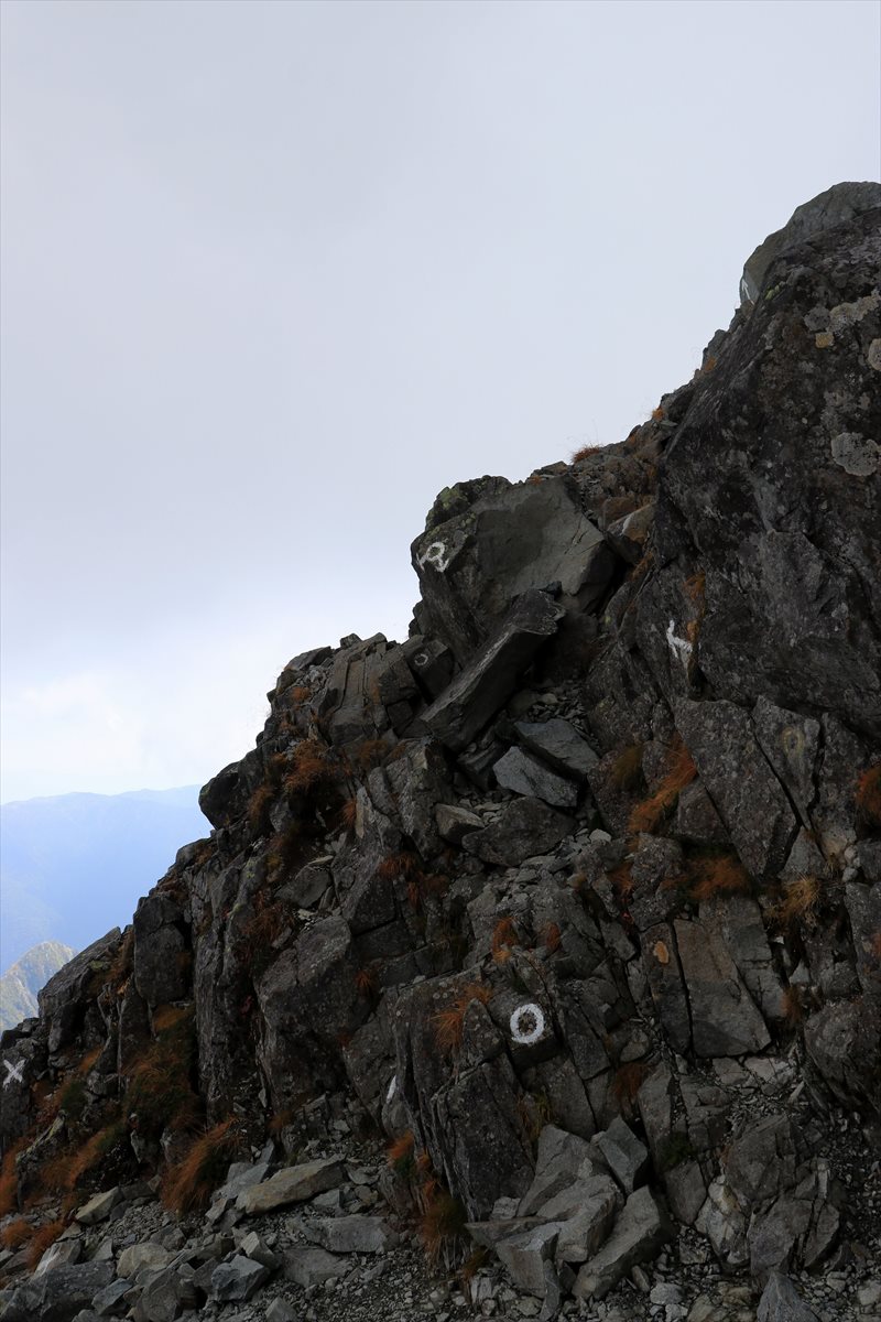 f:id:SISIS:20211109211149j:plain