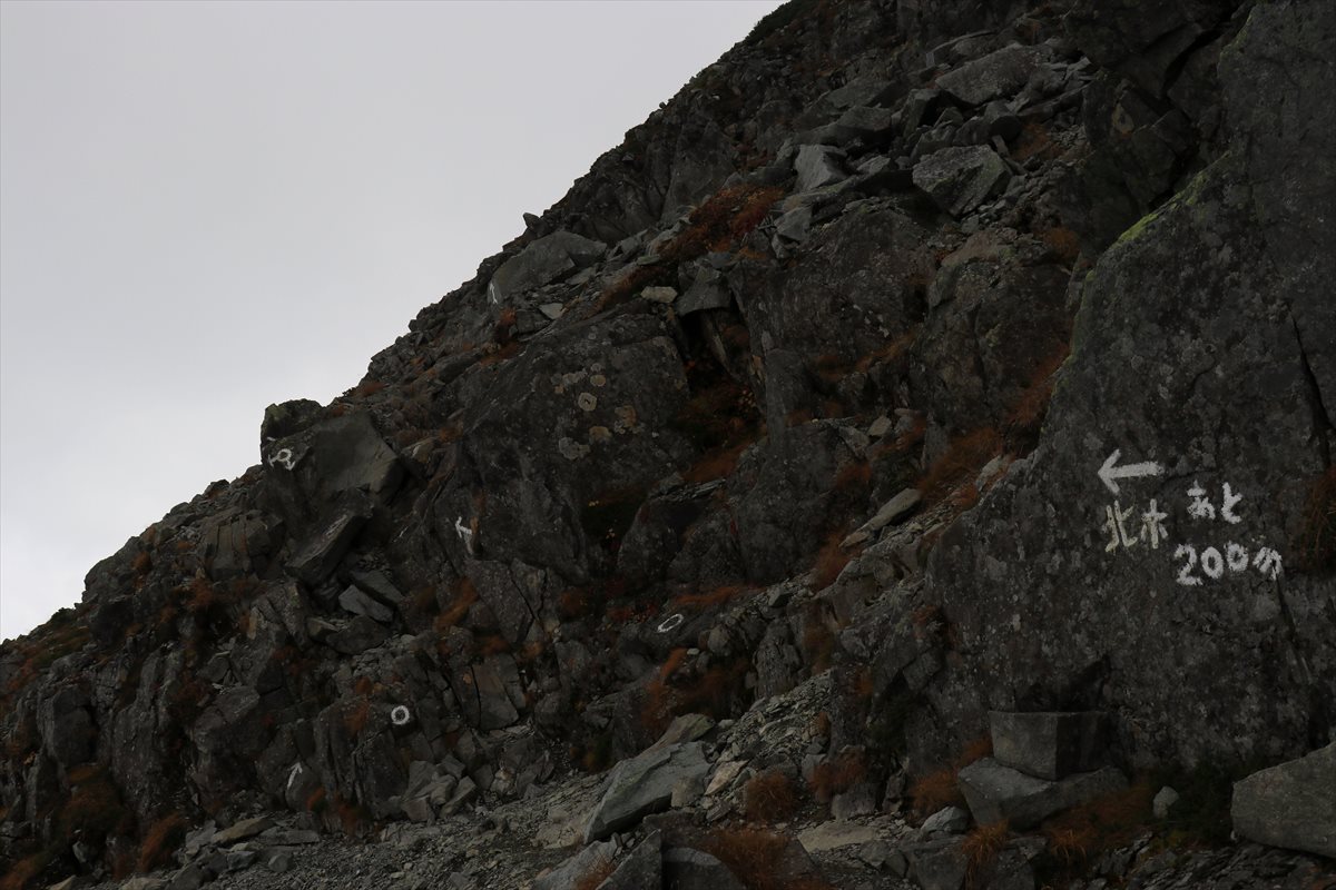 f:id:SISIS:20211109211152j:plain