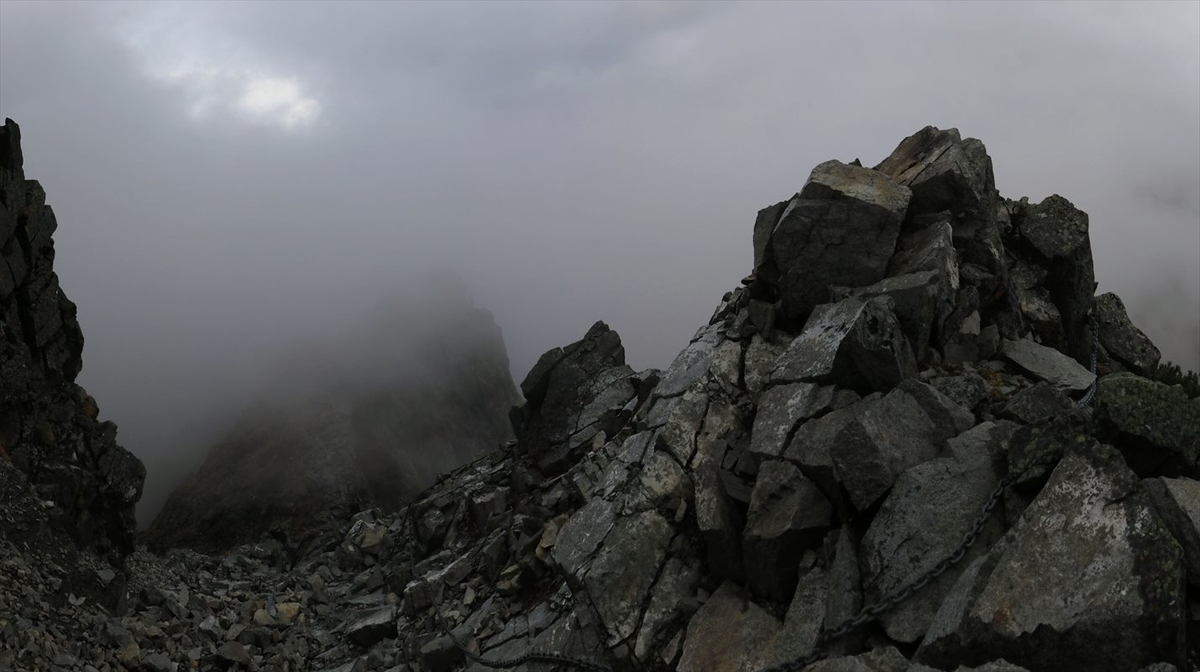 f:id:SISIS:20211109211228j:plain