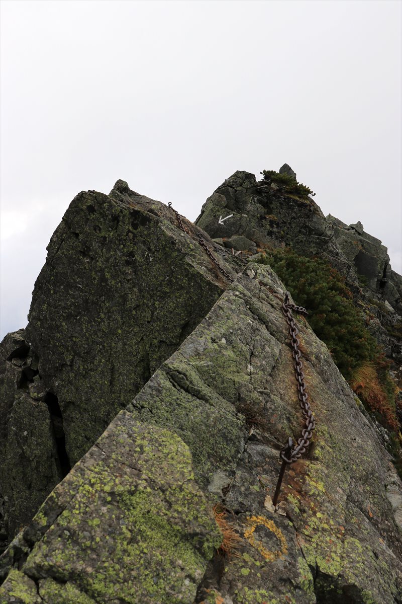 f:id:SISIS:20211109211245j:plain