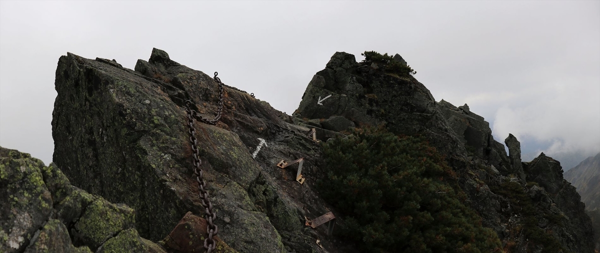 f:id:SISIS:20211109211248j:plain