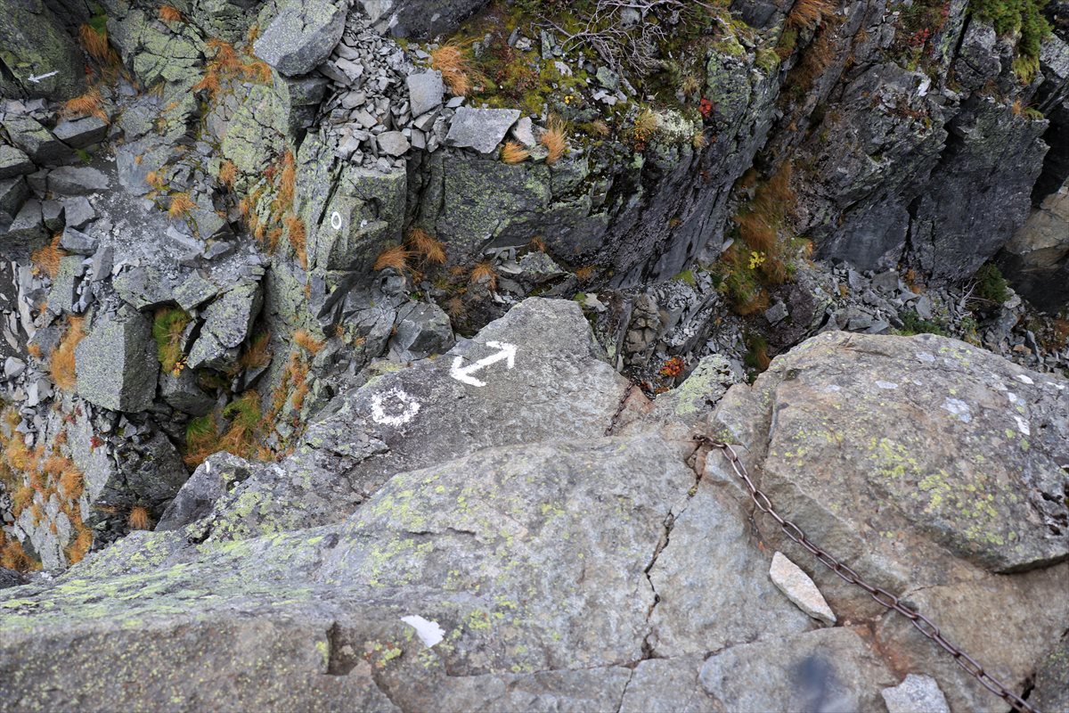 f:id:SISIS:20211109211257j:plain