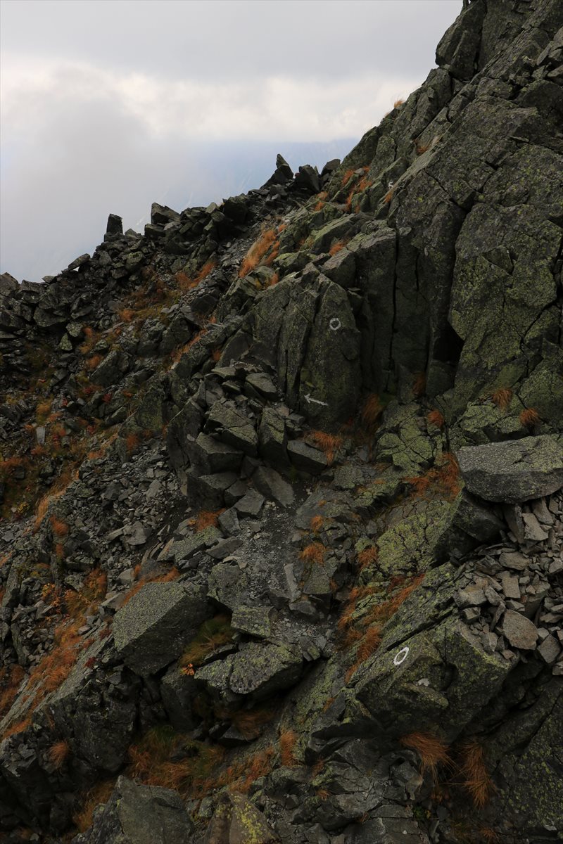 f:id:SISIS:20211109211300j:plain