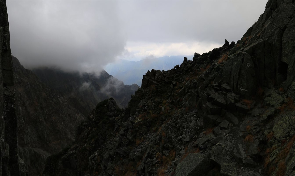 f:id:SISIS:20211109211304j:plain