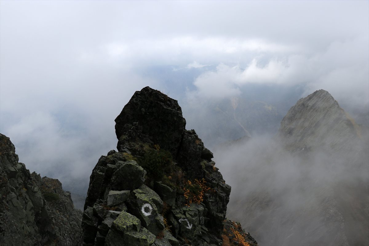 f:id:SISIS:20211109211315j:plain