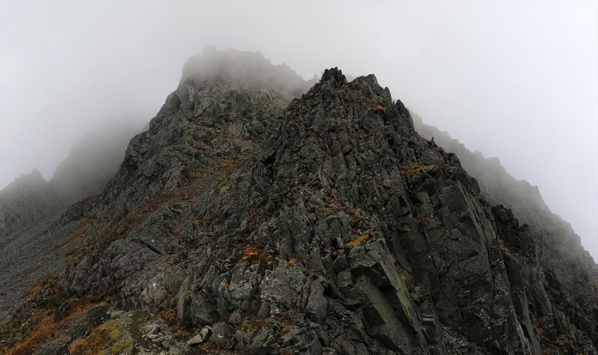 f:id:SISIS:20211109211347j:plain