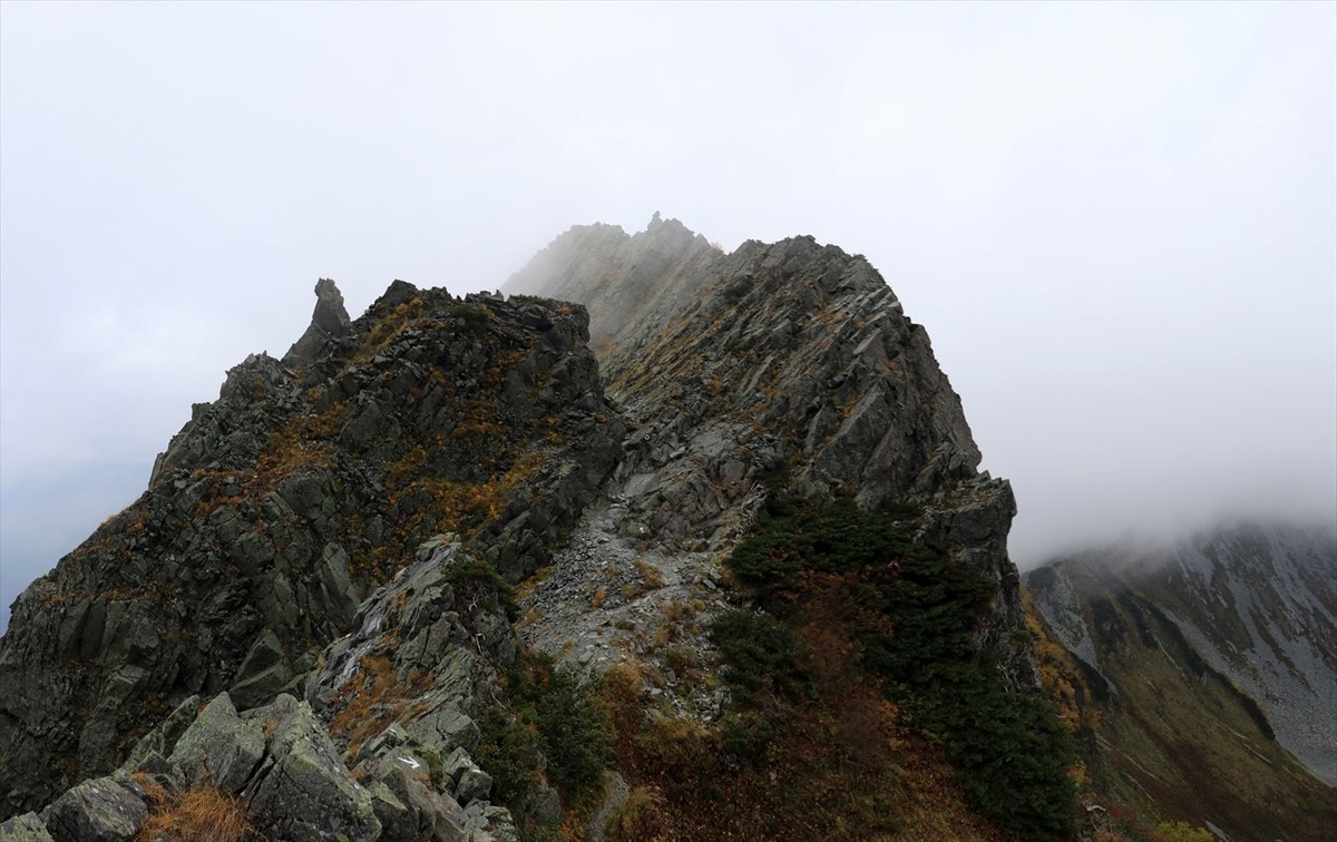 f:id:SISIS:20211109211353j:plain