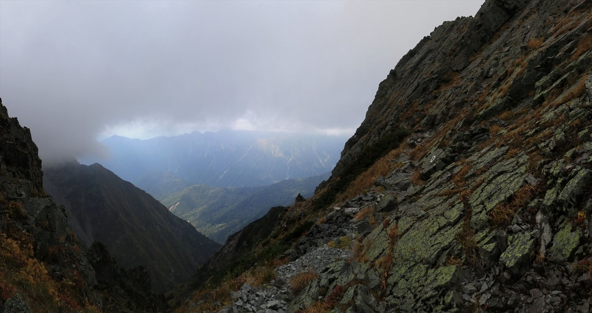 f:id:SISIS:20211109211359j:plain