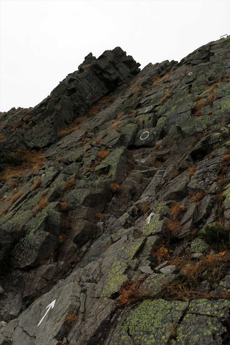 f:id:SISIS:20211109211403j:plain