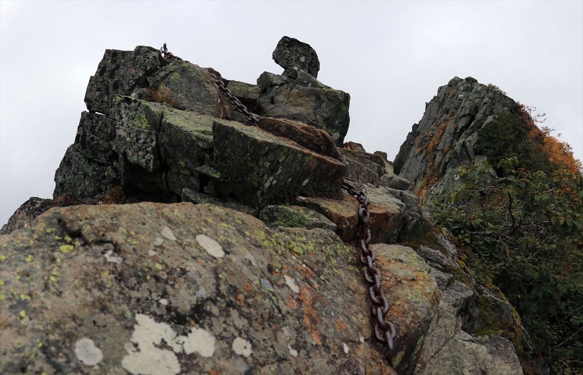 f:id:SISIS:20211109211412j:plain