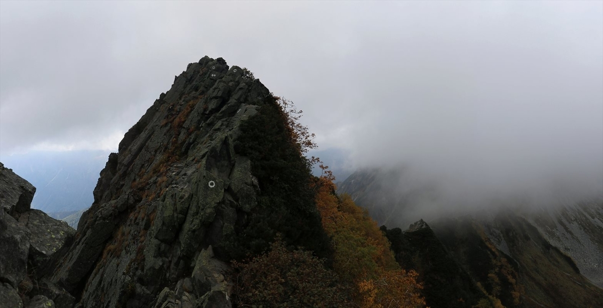 f:id:SISIS:20211109211415j:plain