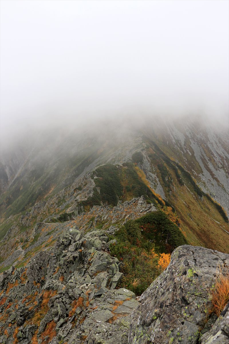 f:id:SISIS:20211109211430j:plain