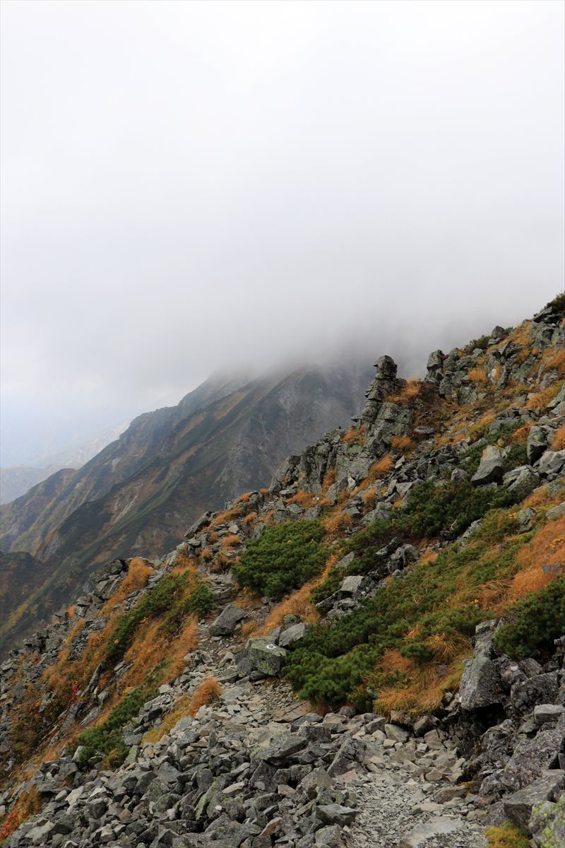 f:id:SISIS:20211109211440j:plain