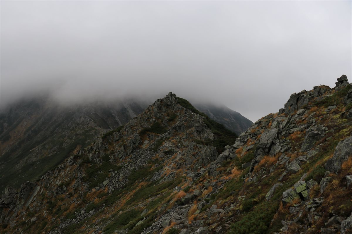 f:id:SISIS:20211109211444j:plain