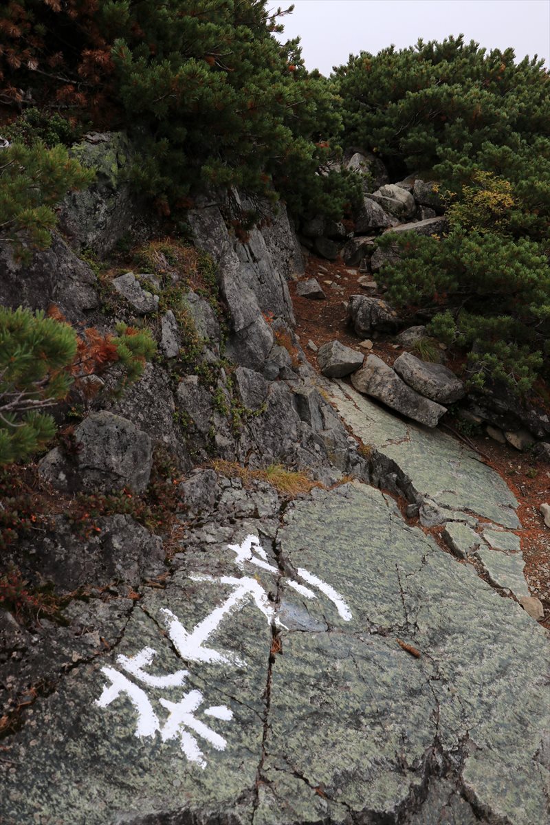 f:id:SISIS:20211109211454j:plain