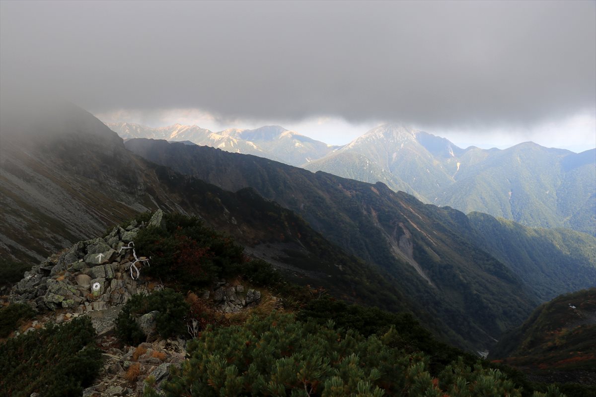 f:id:SISIS:20211109211458j:plain