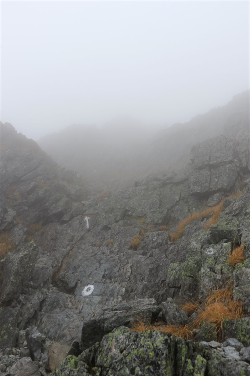 f:id:SISIS:20211109211606j:plain