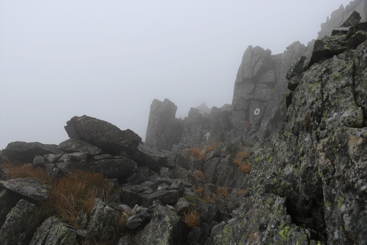 f:id:SISIS:20211109211608j:plain