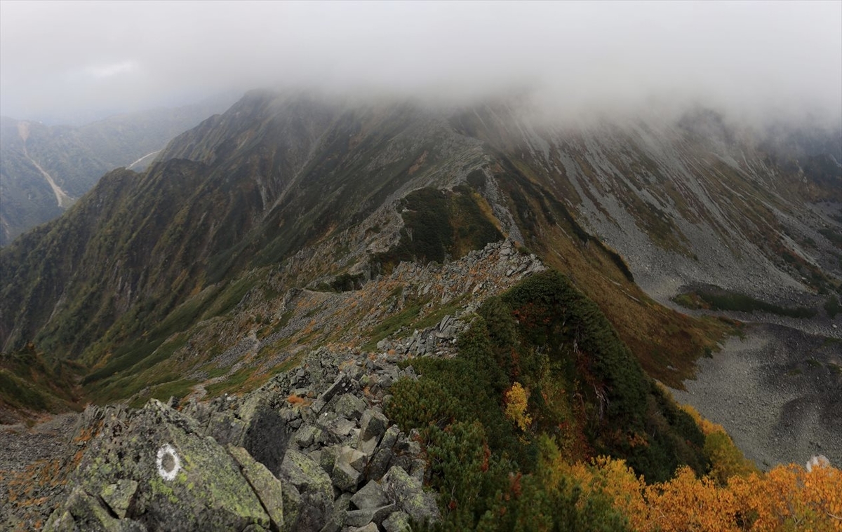 f:id:SISIS:20211213235743j:plain