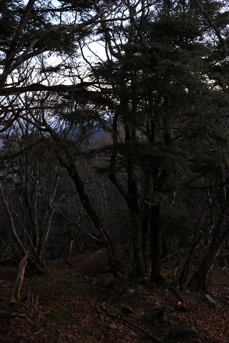 f:id:SISIS:20211221225036j:plain