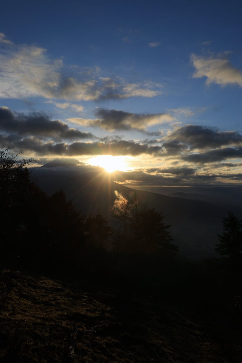 f:id:SISIS:20211221225052j:plain