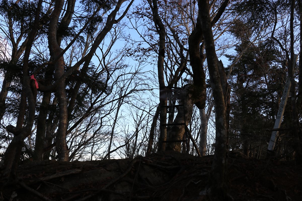 f:id:SISIS:20211221225106j:plain