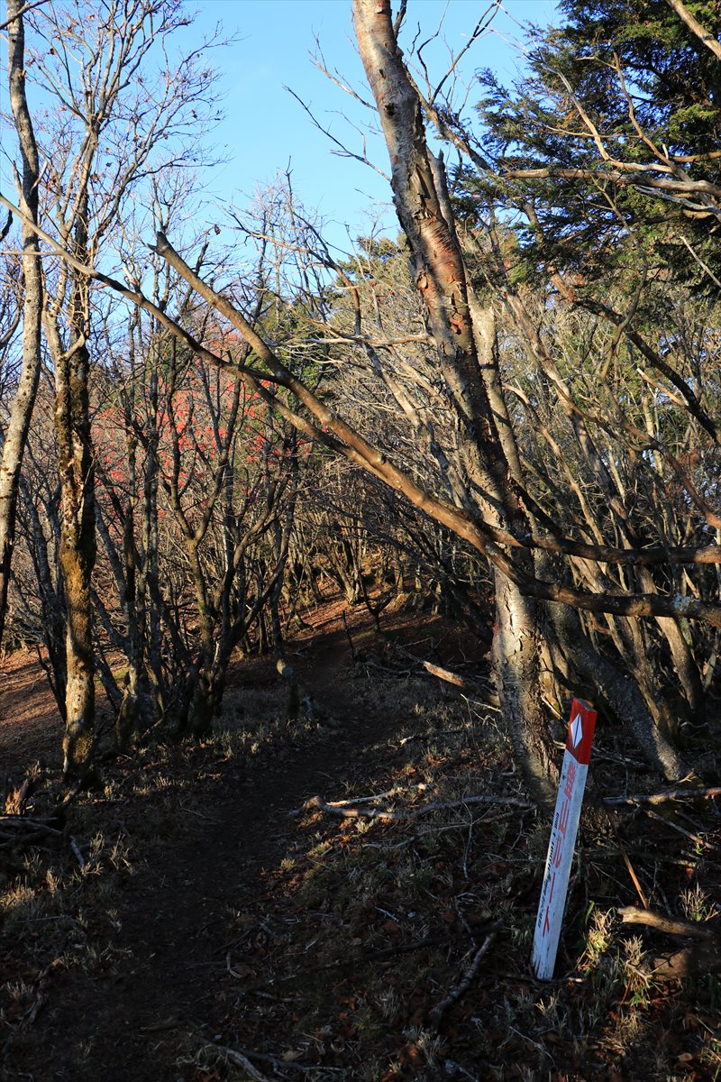 f:id:SISIS:20211221225109j:plain