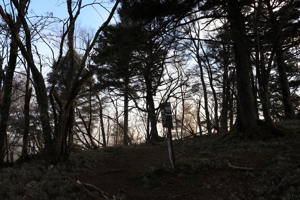 f:id:SISIS:20211221225113j:plain