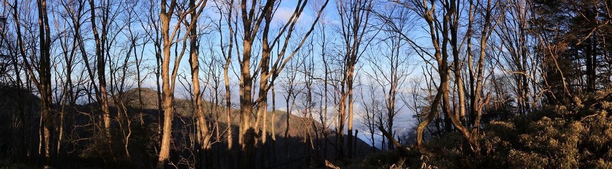 f:id:SISIS:20211221225130j:plain