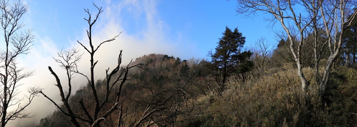 f:id:SISIS:20211221225134j:plain