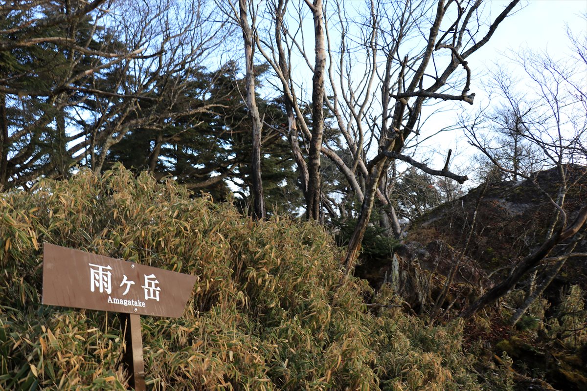 f:id:SISIS:20211221225138j:plain