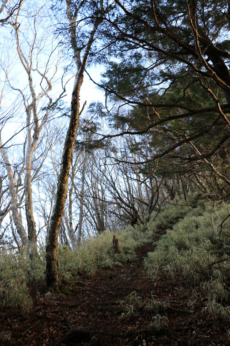 f:id:SISIS:20211221225215j:plain