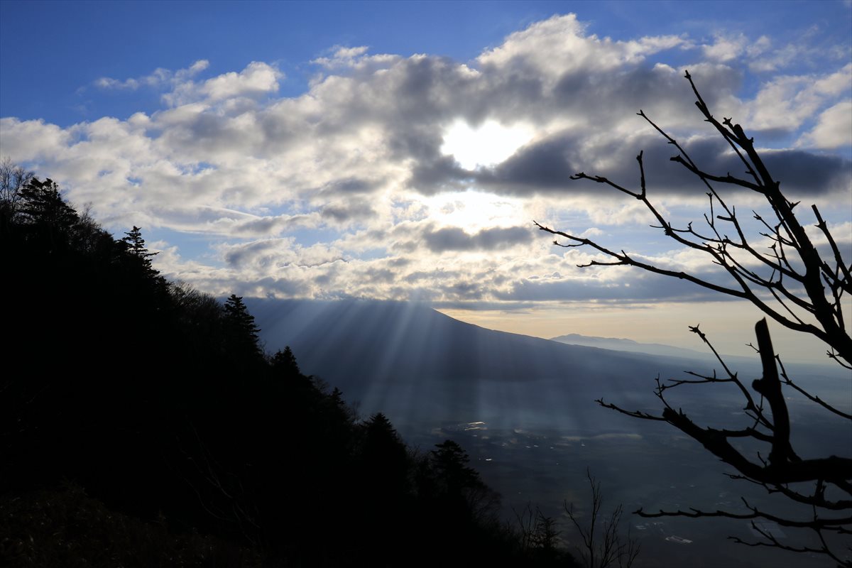 f:id:SISIS:20211221225222j:plain