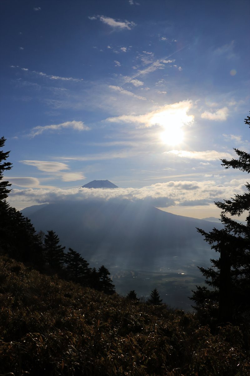 f:id:SISIS:20211221225240j:plain