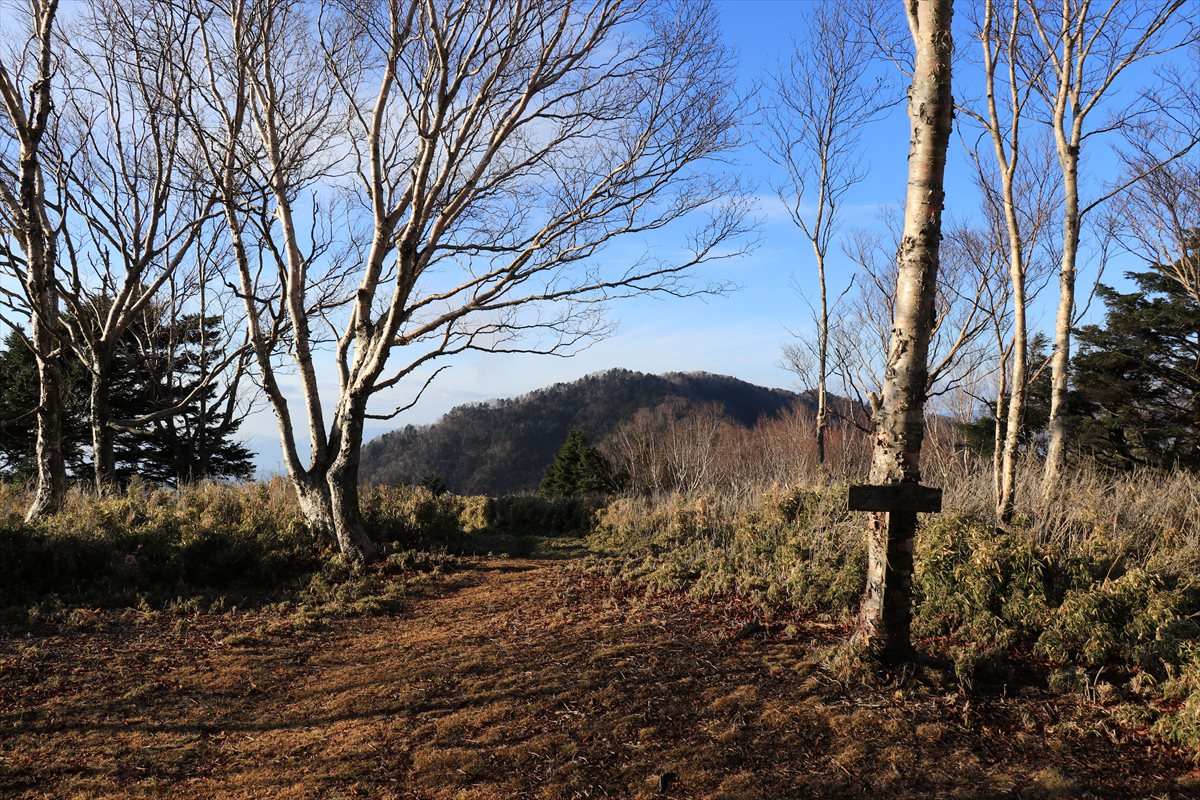 f:id:SISIS:20211221225305j:plain