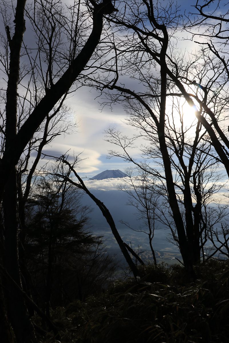 f:id:SISIS:20211221225311j:plain