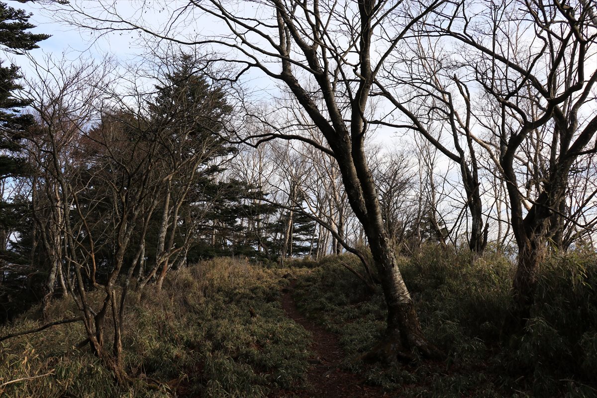 f:id:SISIS:20211221225318j:plain