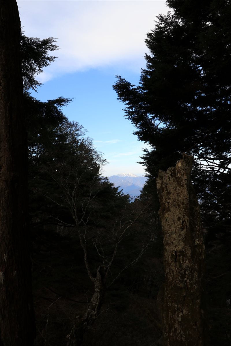 f:id:SISIS:20211221225328j:plain