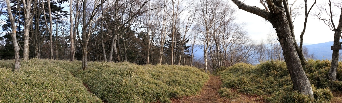 f:id:SISIS:20211221225341j:plain