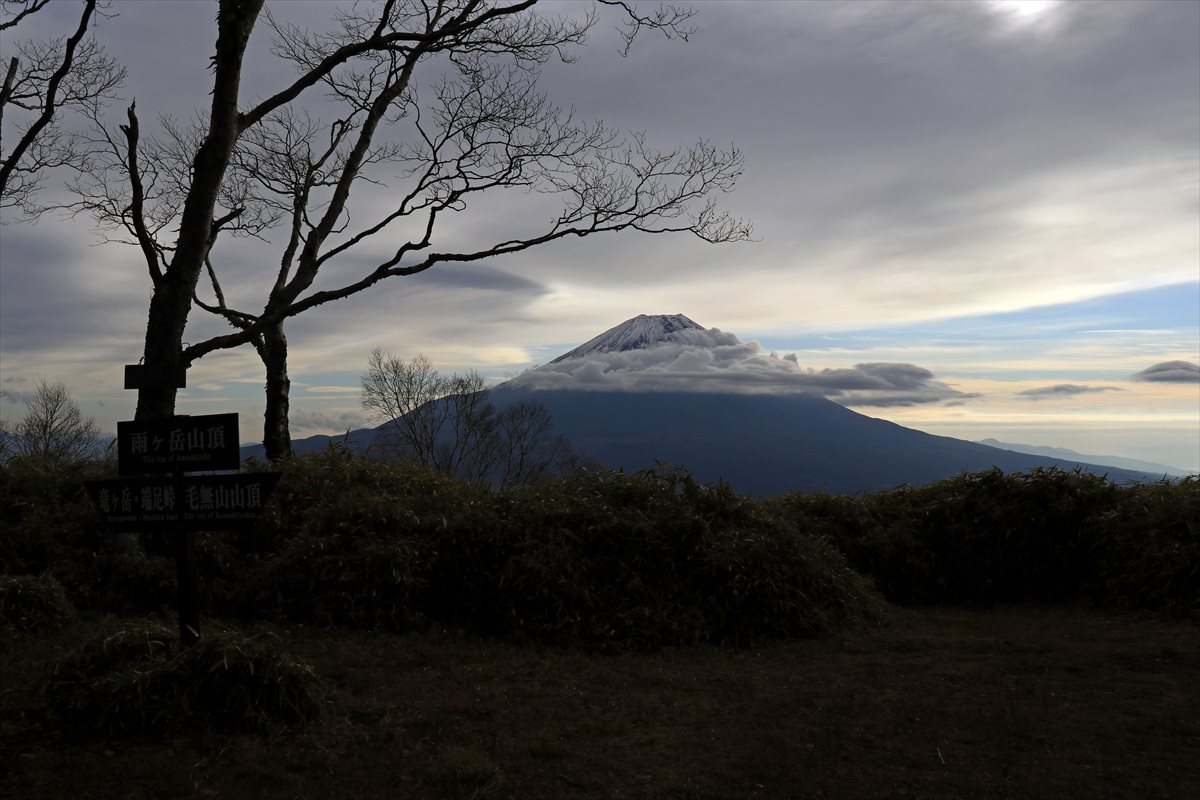 f:id:SISIS:20211221225408j:plain