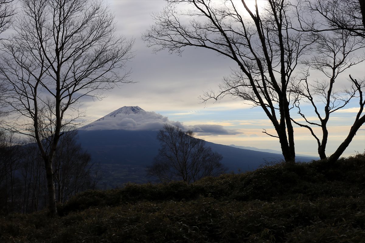 f:id:SISIS:20211221225424j:plain