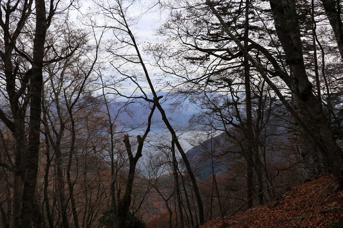 f:id:SISIS:20211221225444j:plain