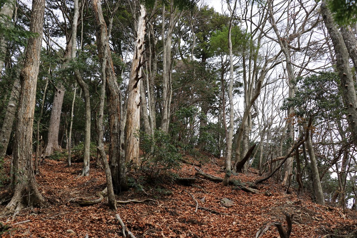 f:id:SISIS:20211221225510j:plain