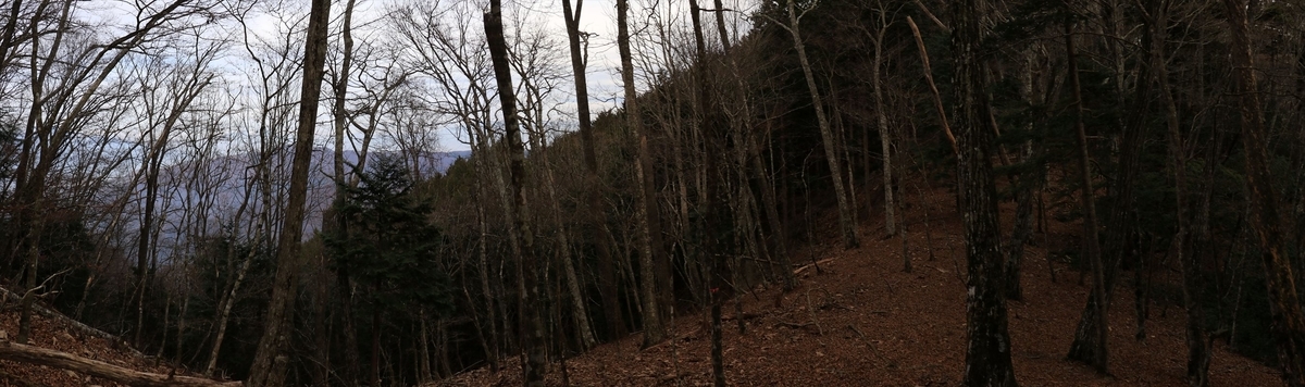 f:id:SISIS:20211221225532j:plain