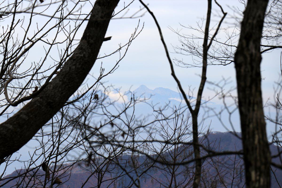 f:id:SISIS:20211221225537j:plain