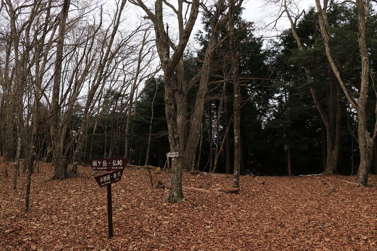 f:id:SISIS:20211221225553j:plain