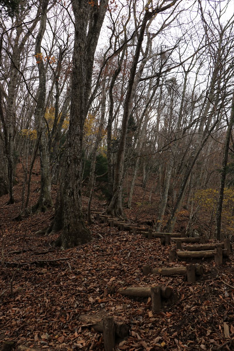 f:id:SISIS:20211221225628j:plain