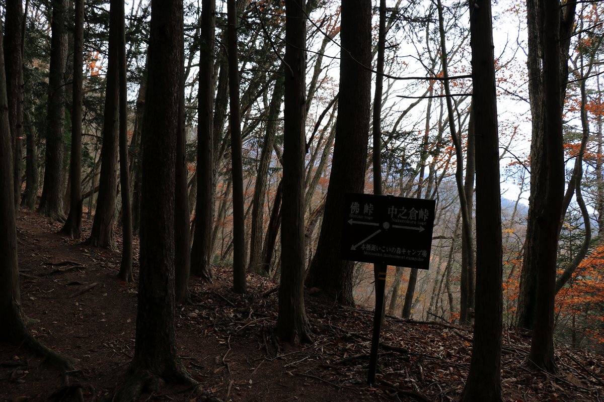 f:id:SISIS:20211221225634j:plain