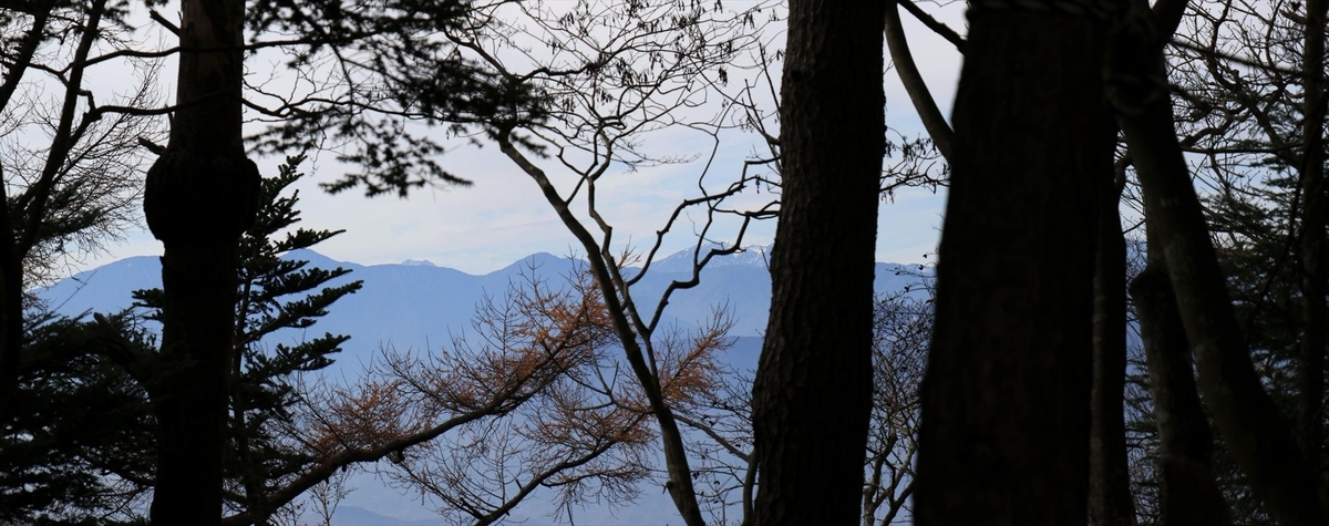 f:id:SISIS:20211221225700j:plain