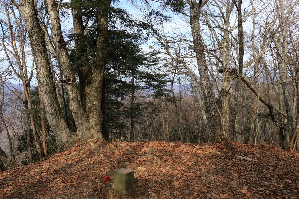 f:id:SISIS:20211221225706j:plain